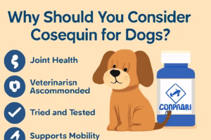 Why Should You Consider Cosequin for Dogs?